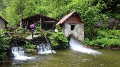 Rize – Türkiye’nin Çay Başkenti