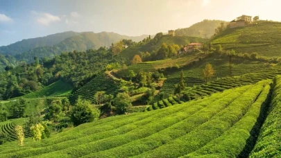 Rize’nin En Meşhur 18 Yemeği