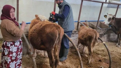 Yomra İlçesi'nde Hayvan Sağlığını Koruma Çalışmaları Devam Ediyor