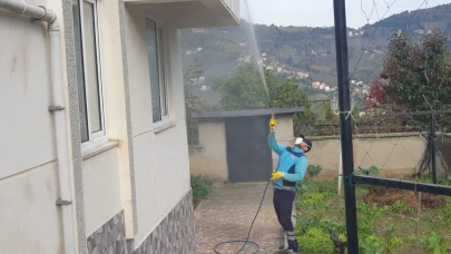 Maçka'da kahverengi kokarcaya karşı kış ilaçlaması sürüyor, üreticilere destek çağrısı yapıldı