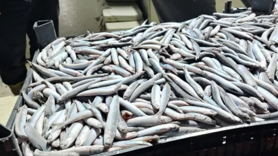 Trabzon'da Su Ürünleri Denetimleri Hız Kazandı: Sürdürülebilir Balıkçılık İçin Kontroller Devam Ediyor