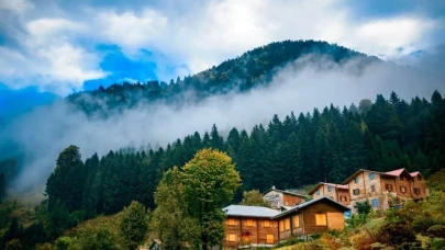 Rize’nin En Büyülü Yaylaları: Ayder, Pokut ve Gito’da Bulutların Üstünde Masalsı Yolculuk!
