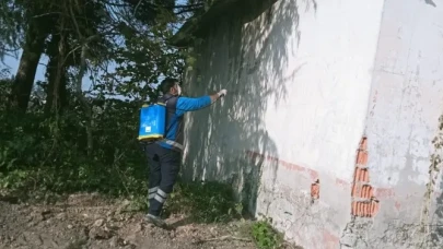 Arsin Işıklı Mahallesi’nde Kahverengi Kokarca Mücadelesi Sürüyor