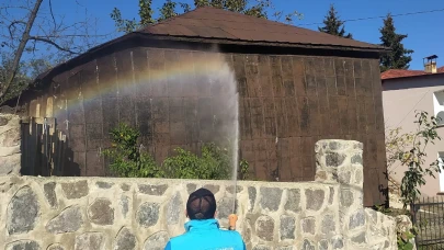 Trabzon'da Kahverengi Kokarca ile Mücadele İçin Kışlak İlaçlama Başladı