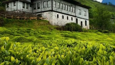 Rize nerede? Rize'de nereye gidilir? Rize'de gezilecek yerler