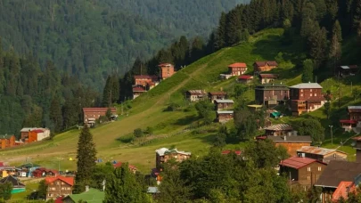 Yöre Ağızları ve Argosu