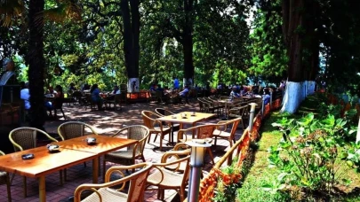 Rize Ziraat Çay Bahçesi