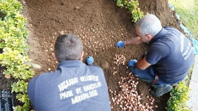 Akçaabat, Çiçeklerle Donatılıyor: Daha Yeşil Bir Gelecek İçin Adımlar Atılıyor