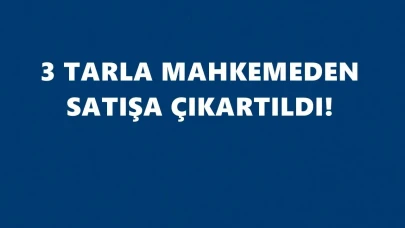 Ardanuç’ta üç tarla icradan satışa çıkıyor