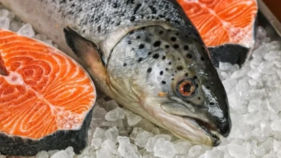 Artvin’den 67 ülkeye Türk somonu ihracatı