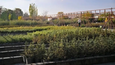 "Geleceğe Nefes Projesi: 6 Yılda 34 Milyon Fidan Toprakla Buluştu!"