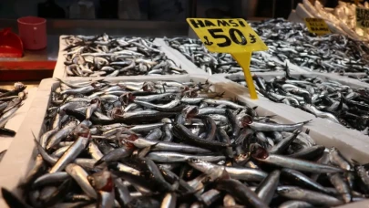 Yön değiştirdiler! Hamsi Türkiye'den kaçıyor