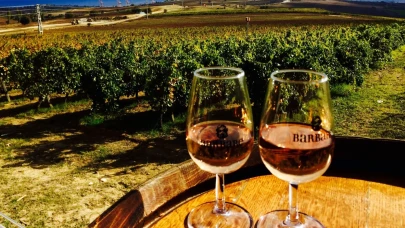 Bir Hafta Sonu Kaçamağı: Trakya Bağ Rotası