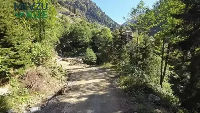 Rize'de Orman Tehlikesi: 174 Bin Hektar Yeşil Alan Tehdit Altında!