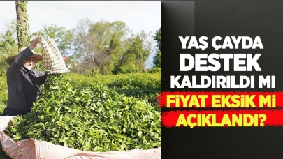 Yaş çayda destek kaldırıldı mı, fiyat eksik mi açıklandı?