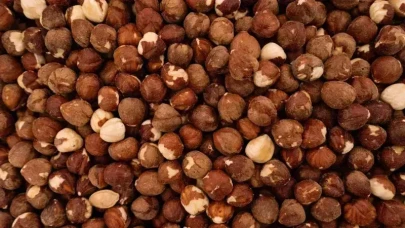 Fındık fiyatları yükselişe geçecek mi? 7 Aralık 2025 il il serbest piyasa güncel fındık fiyatı