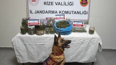 Rize'de Jandarma'nın uyuşturucu operasyonunda 2.5 kg esrar ele geçirildi, 5 kişi gözaltına alındı