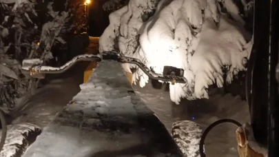 Şalpazarı'nda karla mücadele çalışmaları devam ederken ağaç dalları hasara neden oldu