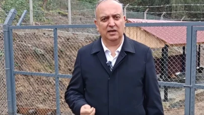 Can Dostlara Yuva, Komşulara Davet: Borçka’da Yeni Barınak Hizmete Girdi