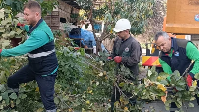 Trabzon'da kışa hazırlık: Yeşil alan bakımına hız verildi!