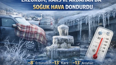 Erzurum, Kars ve Ardahan'da dondurucu soğuklar etkili, yaşam olumsuz etkilendi