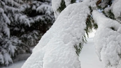 10 Aralık’ta Okullar Tatil mi? İşte Kars, Van, Hakkari ve Ağrı İçin Son Durum