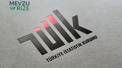 TÜİK Nedir? Amacı Nedir? Ne İşe Yarar?