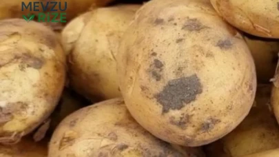 Akıllı ev kadınları neden patates kabuklarını atmıyor: asil bir misyona sahip mütevazı atıklar