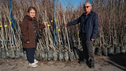 Büyükşehir Belediyesi'nden Trabzon Hurması Fidanı Dağıtımı: 3.600 Fidan Sahiplerini Bekliyor!