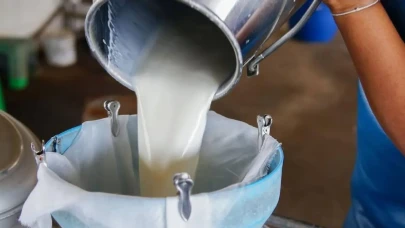 Sütte Üretim Maliyeti Geçtiğimiz Yıl %33 Bir Artış Gösterdi!