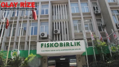 GESBAV’dan Fiskobirlik Arazisinin Satışına Tepki: “Giresun Üniversitesi’ne Tahsis Edilmeli”