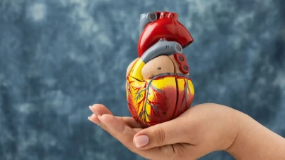 Aort anevrizması nedir? Aort anevrizması ölüm riski nedir?