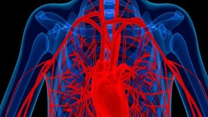 Aort damarı nedir, neden yırtılır? Belirtileri ve tedavi süreci