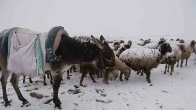 Bayburt’ta nisan ayında yoğun kar yağışı yaşandı