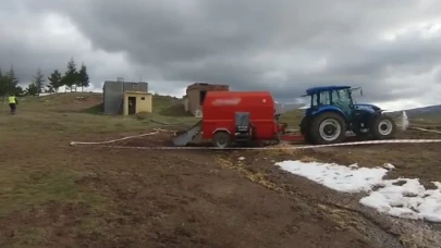 Çorum'da korkunç ölüm! Yem karma makinesinin içine düşüp can verdi