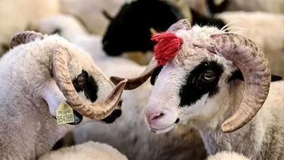 Kurban Bayramı 2025 Takvimi Netleşti, Tatil Kaç Gün Olacak? 9 Gün Olur Mu?