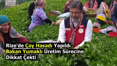Rize'de Çay Hasadı Yapıldı: Bakan Yumaklı Üretim Sürecine Dikkat Çekti