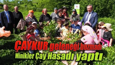 ÇAYKUR geleneği bozmadı Minikler Çay Hasadı yaptı