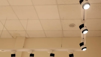 En İyi Ray spot  Işıkları İçin Satın Alma Rehberi