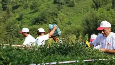 ÇAYKUR 1500 işçi alımı: ÇAYKUR işçi alımı kura sonuçları isim listesi