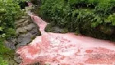 Rize'de Dere Neden Pembe Aktı? Valilikten Şok Açıklama!