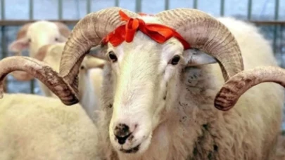 Kurban Bayramı tatili 4 gün: Vatandaşlar tatile çıkabiliyor mu?