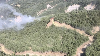 Çanakkale'de ormanlık alanda yangın