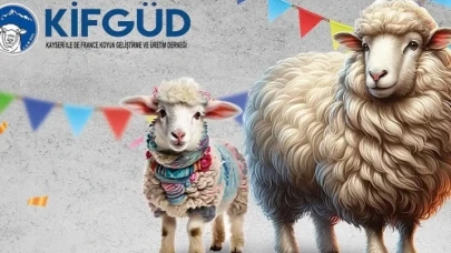 Kayseri Talas'ta France ırkına özel festival