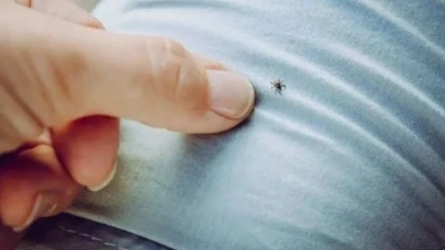 Kene kabusu devam ediyor: 2 ölü, 6 kişi hastanede