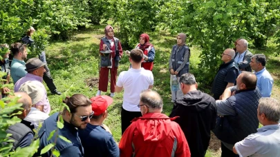 Sakarya'da çiftçilere ücretsiz feromon tuzağı dağıtılıyor, kokarca ile mücadelede önemli adım atıldı
