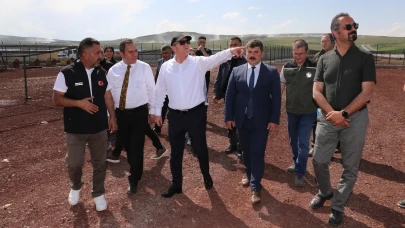 Kars’ta Sokak Hayvanları İçin Doğal Yaşam Alanı Kuruluyor