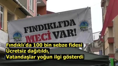 Fındıklı'da 100 bin sebze fidesi ücretsiz dağıtıldı, vatandaşlar yoğun ilgi gösterdi