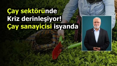 Çay sektöründe kriz derinleşiyor! Çay sanayicisi isyanda