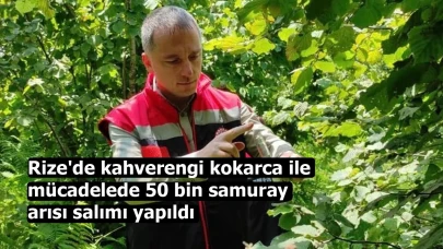 Rize'de kahverengi kokarca ile mücadelede 50 bin samuray arısı salımı yapıldı